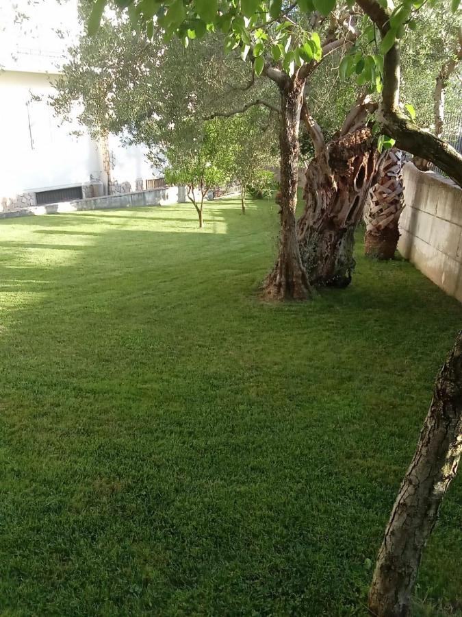Villa Agata Forchia Exteriér fotografie