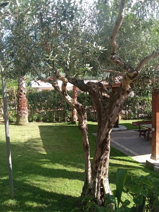 Villa Agata Forchia Exteriér fotografie