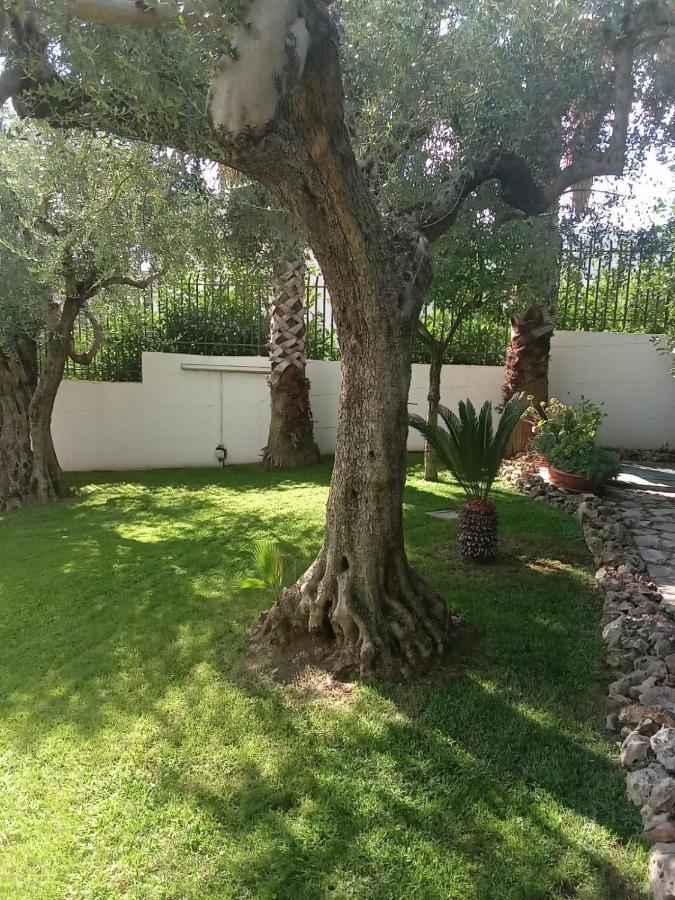 Villa Agata Forchia Exteriér fotografie